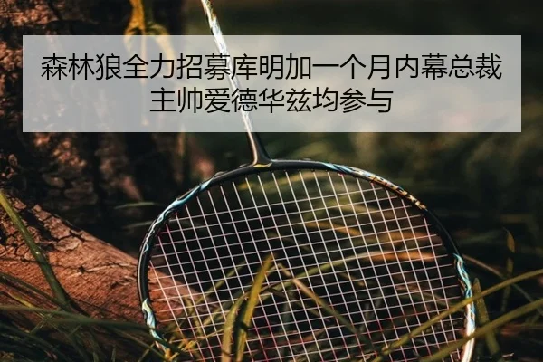 森林狼全力招募库明加一个月内幕总裁主帅爱德华兹均参与